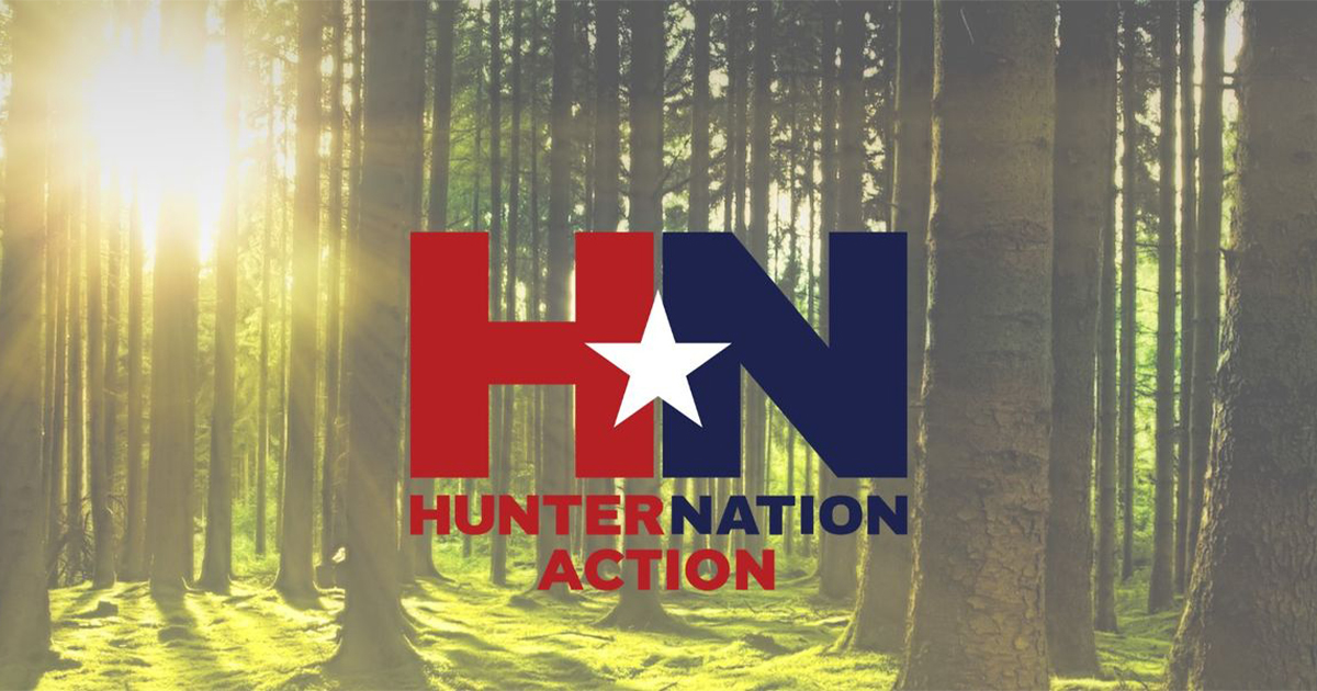Senate Runoff What You Need to Know Hunter Nation Action, Inc.